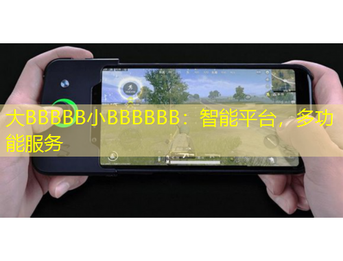 大BBBBB小BBBBBB：智能平臺，多功能服務(wù)