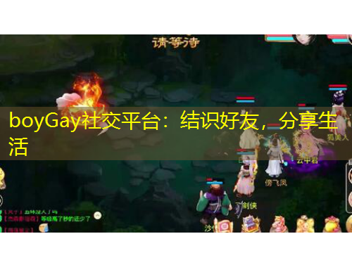 boyGay社交平臺：結識好友，分享生活