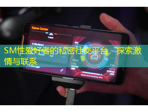 SM性愛(ài)好者的私密社交平臺(tái)，探索激情與聯(lián)系