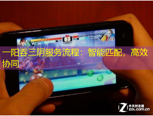 一陽(yáng)吞三陰服務(wù)流程：智能匹配，高效協(xié)同