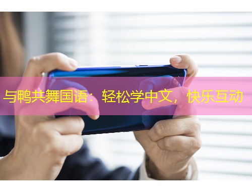 與鴨共舞國(guó)語：輕松學(xué)中文，快樂互動(dòng)