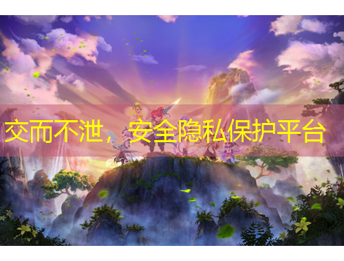交而不泄，安全隱私保護(hù)平臺
