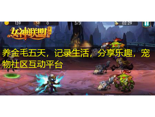 養(yǎng)金毛五天，記錄生活，分享樂趣，寵物社區(qū)互動(dòng)平臺(tái)