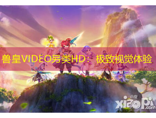 獸皇VIDEO另類HD：極致視覺體驗(yàn)