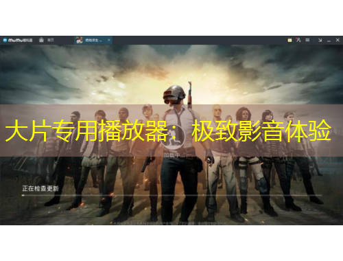 大片專用播放器：極致影音體驗(yàn)