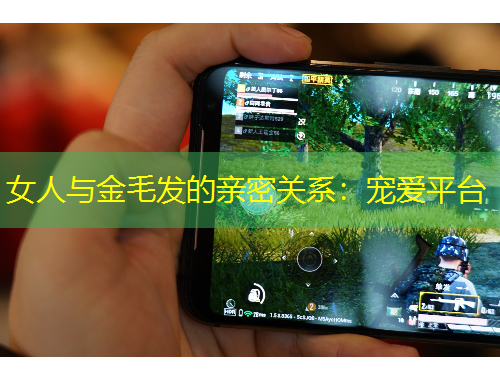 女人與金毛發(fā)的親密關系：寵愛平臺