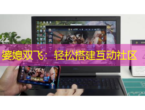 婆媳雙飛：輕松搭建互動社區(qū)