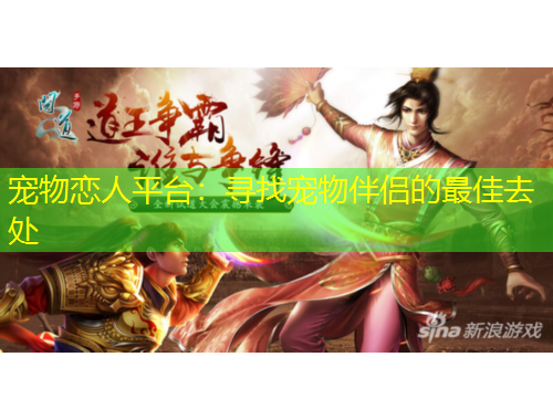 寵物戀人平臺(tái)：尋找寵物伴侶的最佳去處