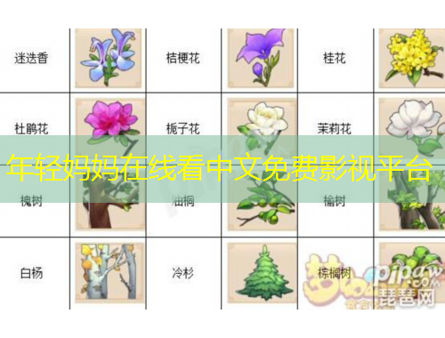 年輕媽媽在線看中文免費影視平臺