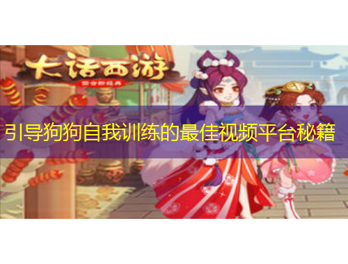 引導(dǎo)狗狗自我訓(xùn)練的最佳視頻平臺秘籍
