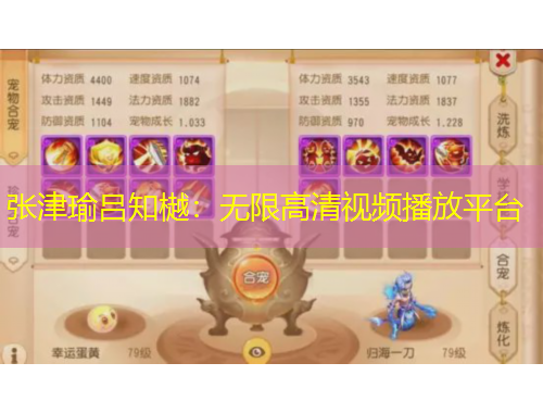 張津瑜呂知樾：無限高清視頻播放平臺