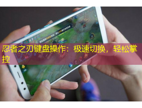 忍者之刃鍵盤(pán)操作：極速切換，輕松掌控