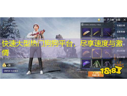 快速大型熱門狗狗平臺(tái)，盡享速度與激情