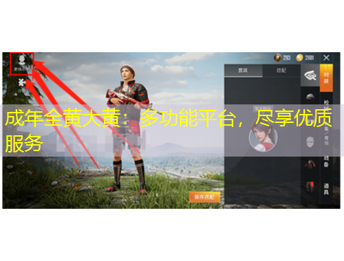 成年全黃大黃：多功能平臺，盡享優(yōu)質(zhì)服務