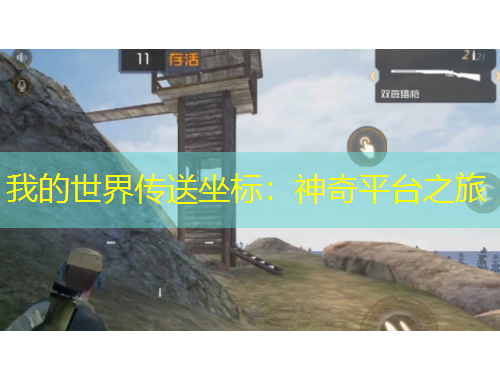 我的世界傳送坐標：神奇平臺之旅