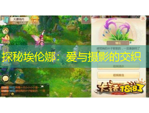 探秘埃倫娜：愛與攝影的交織