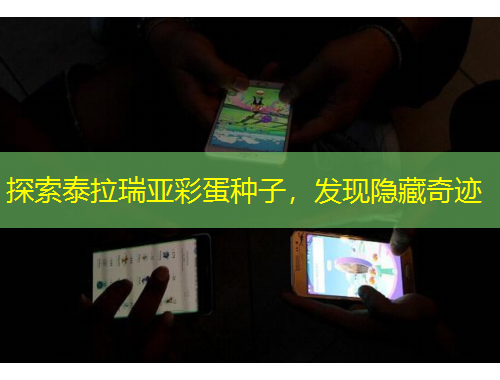 探索泰拉瑞亞彩蛋種子，發(fā)現(xiàn)隱藏奇跡