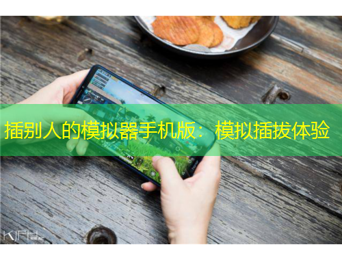 插別人的模擬器手機(jī)版：模擬插拔體驗(yàn)
