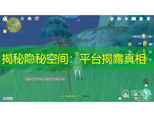 揭秘隱秘空間：平臺揭露真相