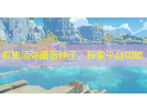 收集須彌薔薇種子，探索平臺功能