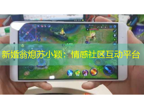 新婚翁熄蘇小穎：情感社區(qū)互動平臺