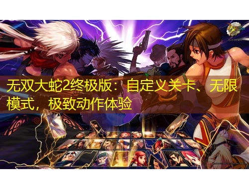 無(wú)雙大蛇2終極版：自定義關(guān)卡、無(wú)限模式，極致動(dòng)作體驗(yàn)