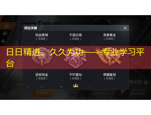 日日精進(jìn)，久久為功——專業(yè)學(xué)習(xí)平臺