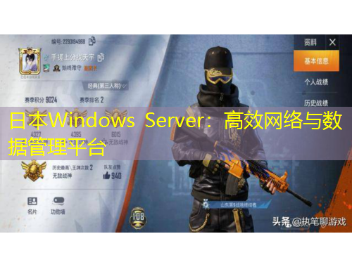日本W(wǎng)indows Server：高效網(wǎng)絡(luò)與數(shù)據(jù)管理平臺