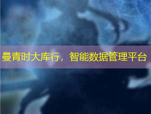 曼青時(shí)大庫(kù)行，智能數(shù)據(jù)管理平臺(tái)