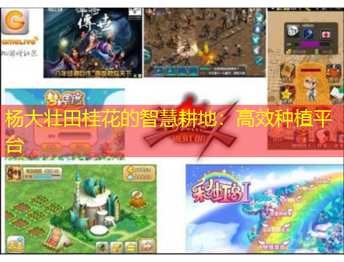 楊大壯田桂花的智慧耕地：高效種植平臺