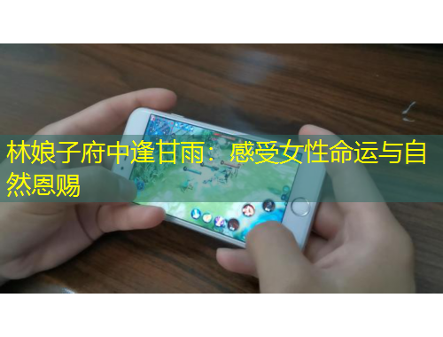 林娘子府中逢甘雨：感受女性命運(yùn)與自然恩賜