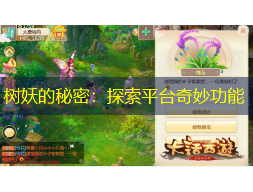 樹妖的秘密：探索平臺(tái)奇妙功能