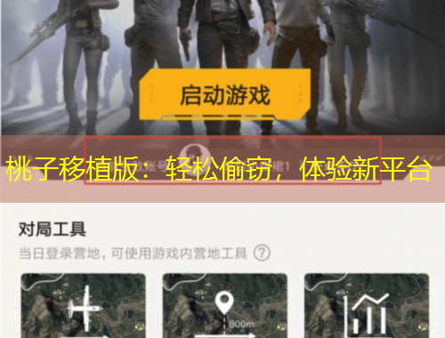 桃子移植版：輕松偷竊，體驗(yàn)新平臺(tái)