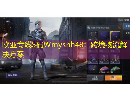 歐亞專線S碼Wmysnh48：跨境物流解決方案