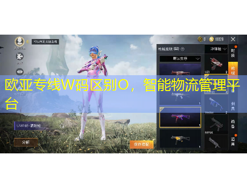 歐亞專線W碼區(qū)別O，智能物流管理平臺