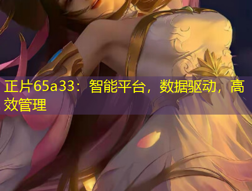 正片65a33：智能平臺，數(shù)據(jù)驅(qū)動，高效管理