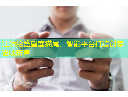 江添給盛望塞貓尾，智能平臺打造創(chuàng)意貓咪玩具