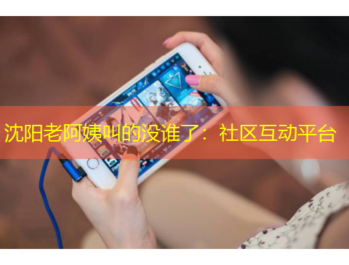 沈陽老阿姨叫的沒誰了：社區(qū)互動平臺