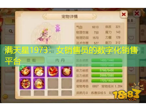 滿天星1973：女銷售員的數(shù)字化銷售平臺