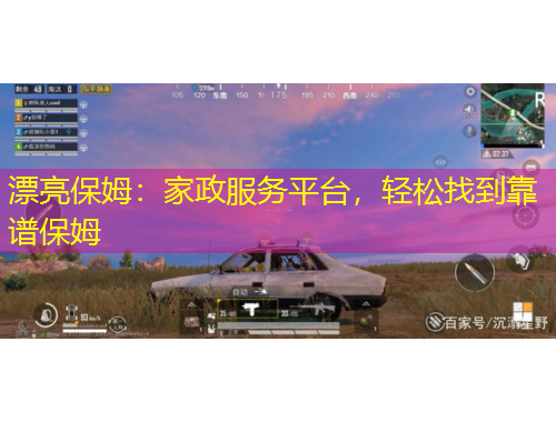 漂亮保姆：家政服務(wù)平臺(tái)，輕松找到靠譜保姆