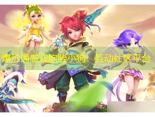 爆炒通感雙胞胎小狗：互動(dòng)社區(qū)平臺(tái)