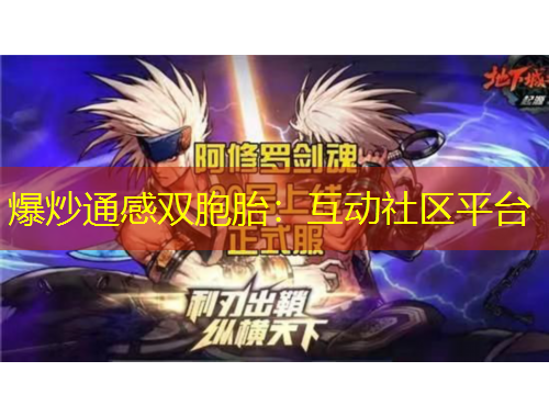 爆炒通感雙胞胎：互動(dòng)社區(qū)平臺(tái)