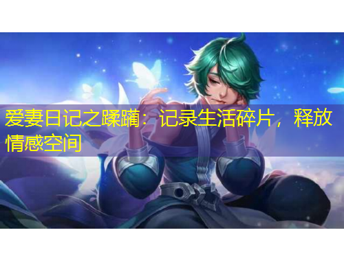 愛妻日記之蹂躪：記錄生活碎片，釋放情感空間