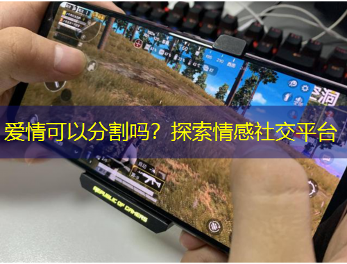 愛情可以分割嗎？探索情感社交平臺(tái)