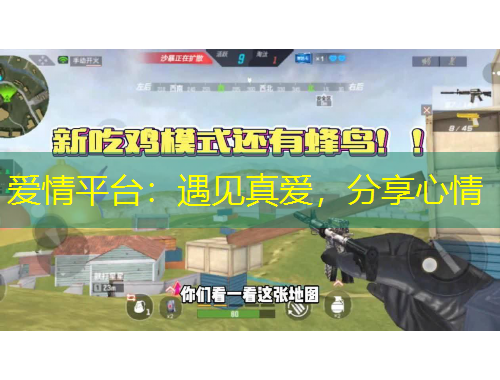 愛情平臺(tái)：遇見真愛，分享心情