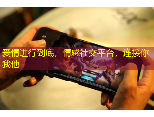 愛情進行到底，情感社交平臺，連接你我他