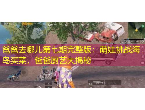 爸爸去哪兒第七期完整版：萌娃挑戰(zhàn)海島買菜，爸爸廚藝大揭秘