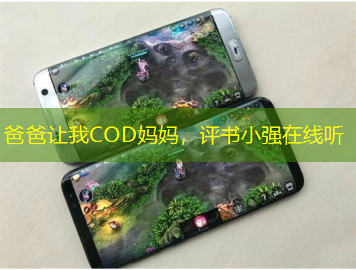 爸爸讓我COD媽媽，評(píng)書小強(qiáng)在線聽