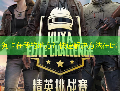 狗卡在我的地方？快速解決方法在此