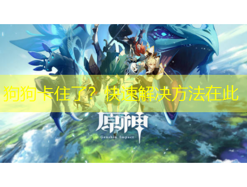 狗狗卡住了？快速解決方法在此